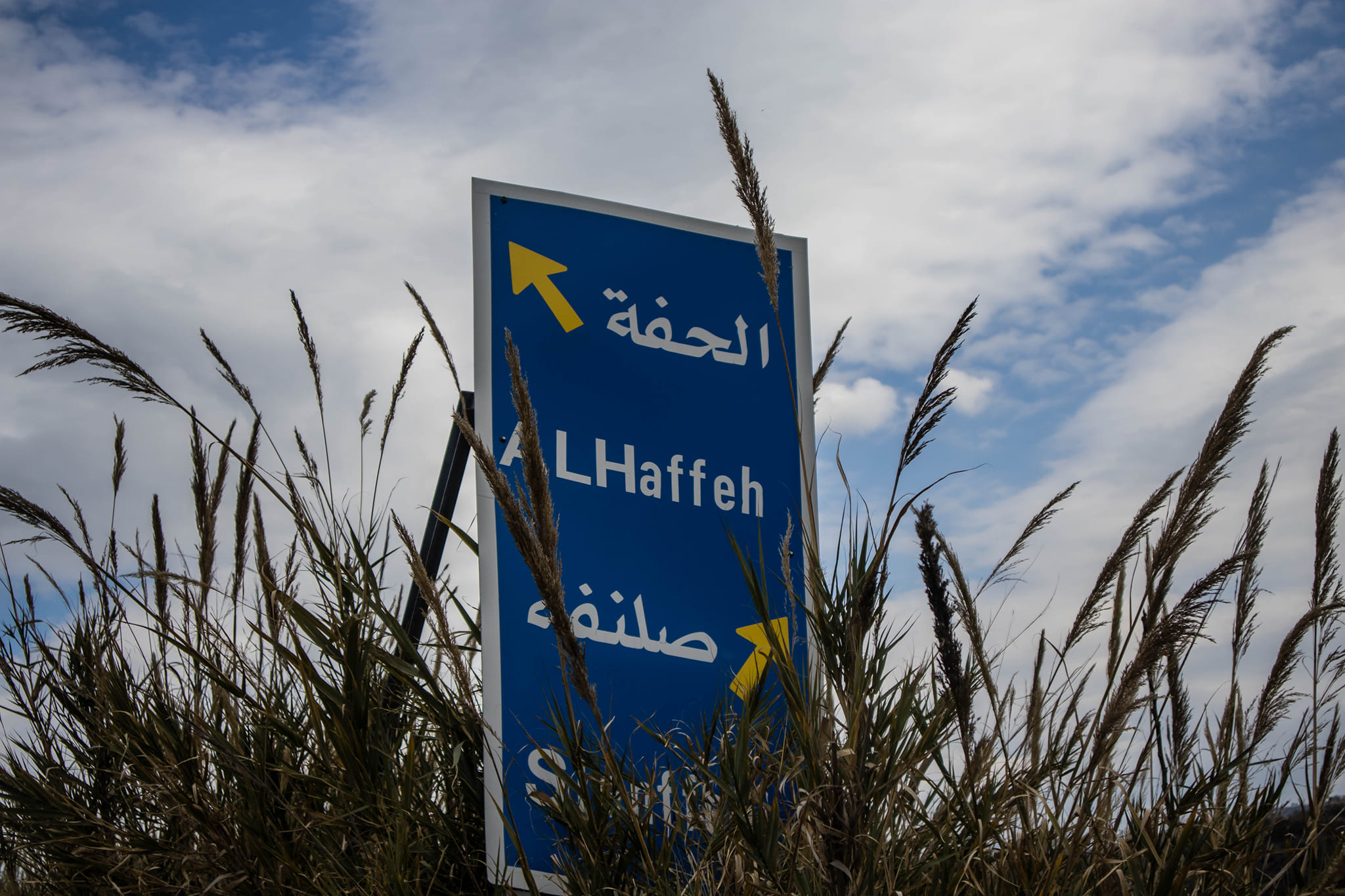 اجتماع مع مدير الشؤون الاجتماعية